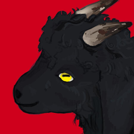 Goat 1 Goat 1